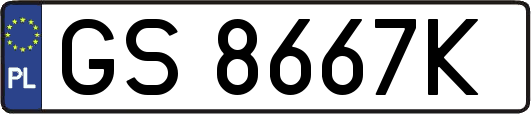 GS8667K
