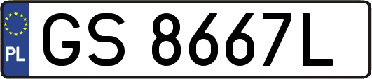 GS8667L