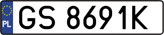 GS8691K