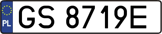 GS8719E