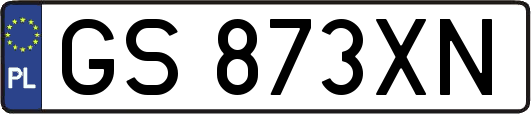 GS873XN