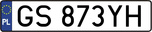 GS873YH