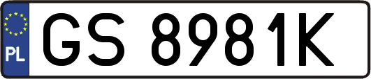 GS8981K