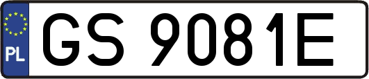 GS9081E