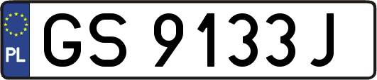 GS9133J