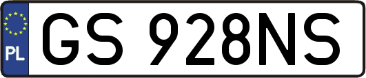 GS928NS