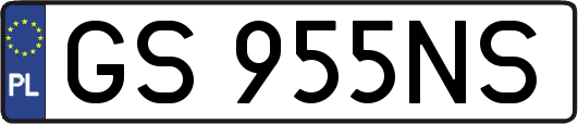GS955NS