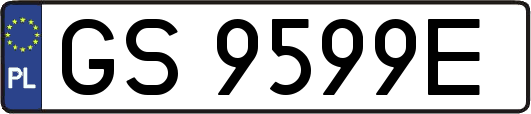 GS9599E