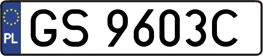 GS9603C