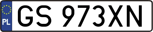 GS973XN