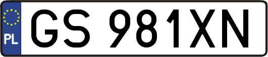 GS981XN