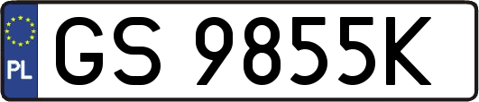 GS9855K