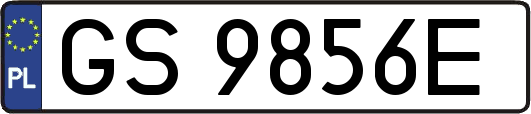 GS9856E