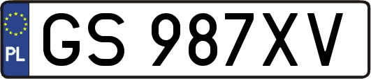 GS987XV