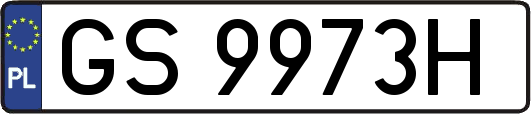 GS9973H
