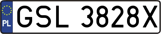 GSL3828X