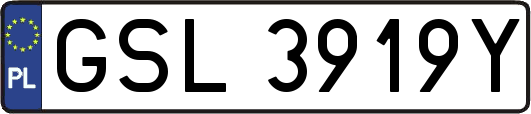 GSL3919Y