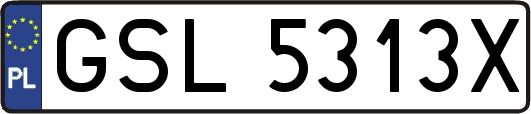 GSL5313X