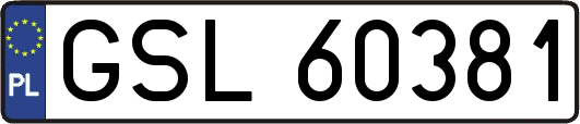 GSL60381