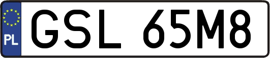 GSL65M8