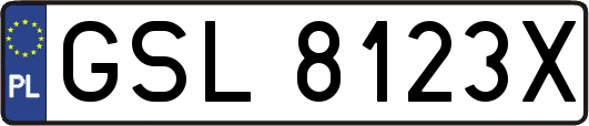 GSL8123X