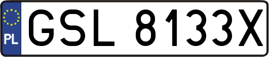 GSL8133X