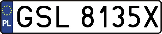 GSL8135X