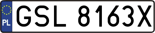GSL8163X