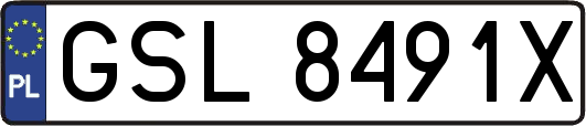 GSL8491X