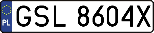 GSL8604X