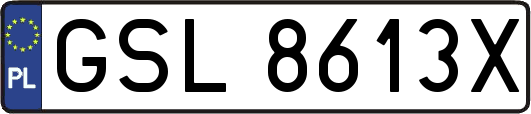 GSL8613X