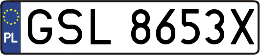 GSL8653X