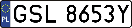 GSL8653Y