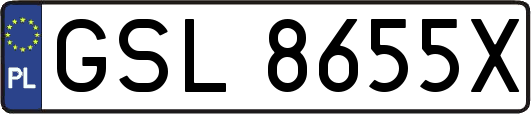 GSL8655X