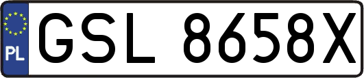 GSL8658X
