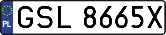 GSL8665X