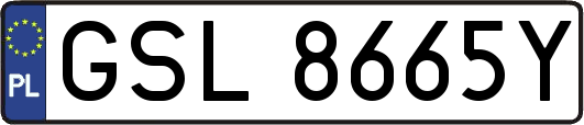 GSL8665Y