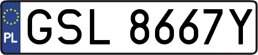 GSL8667Y