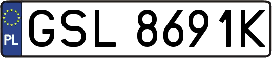 GSL8691K
