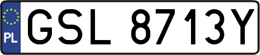GSL8713Y