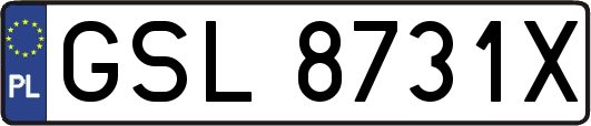 GSL8731X