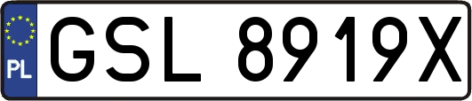 GSL8919X