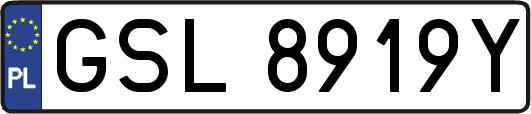 GSL8919Y