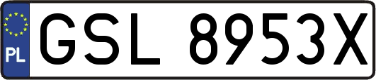 GSL8953X