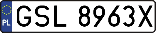 GSL8963X