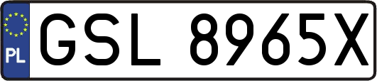 GSL8965X