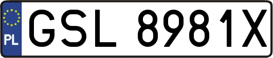 GSL8981X