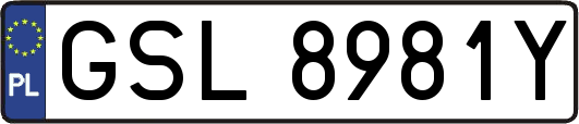 GSL8981Y