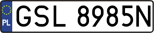 GSL8985N