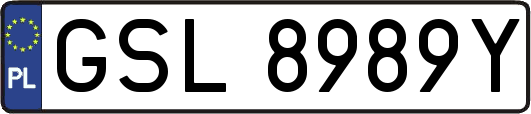 GSL8989Y